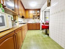 Blk 53 Geylang Bahru Riverpoint (Kallang/Whampoa), HDB 5 Rooms #594789041
